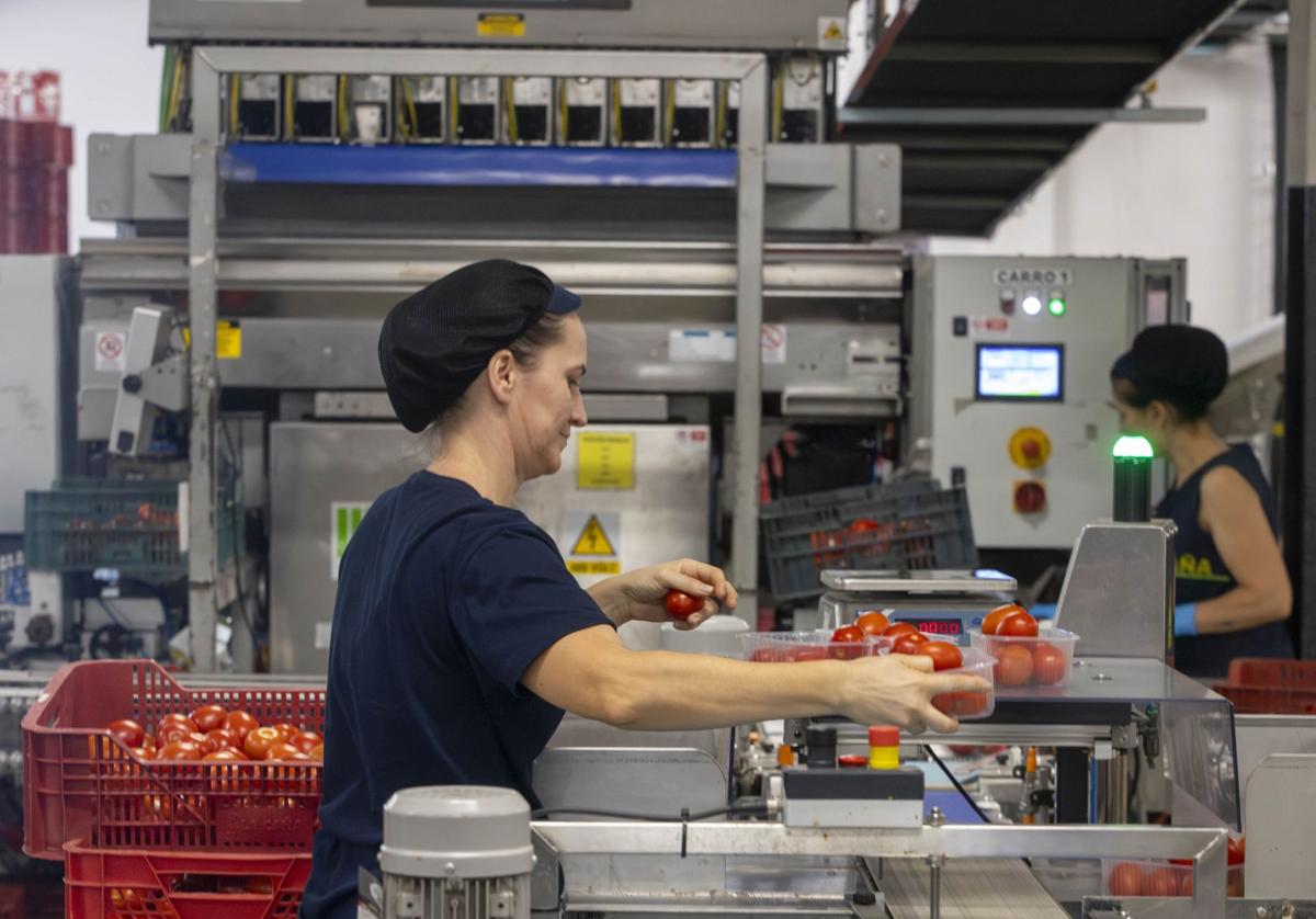 Trabajadoras del grupo La Caña, que sigue exportando a Reino Unido.