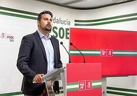 El PSOE urge a Moreno a sacar «de una vez por todas» las ayudas para agricultores y ganaderos dañados por la DANA