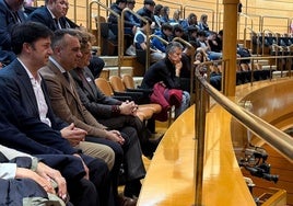 Francis Rodríguez, presidente de la Diputación de Granada, en el Senado.