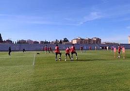 Los futbolistas rojiblancos saltaron al campo de entrenamiento de la Ciudad Deportiva pasadas las 10.30 horas de la mañana.