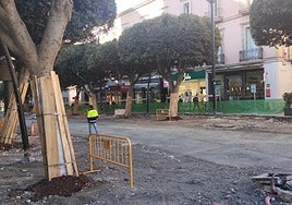 La peatonalización del Paseo cierra su primer mes sin retrasos ni contratiempos