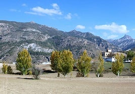 Zona de la Fuente del Hervidero, donde se produjo el accidente.