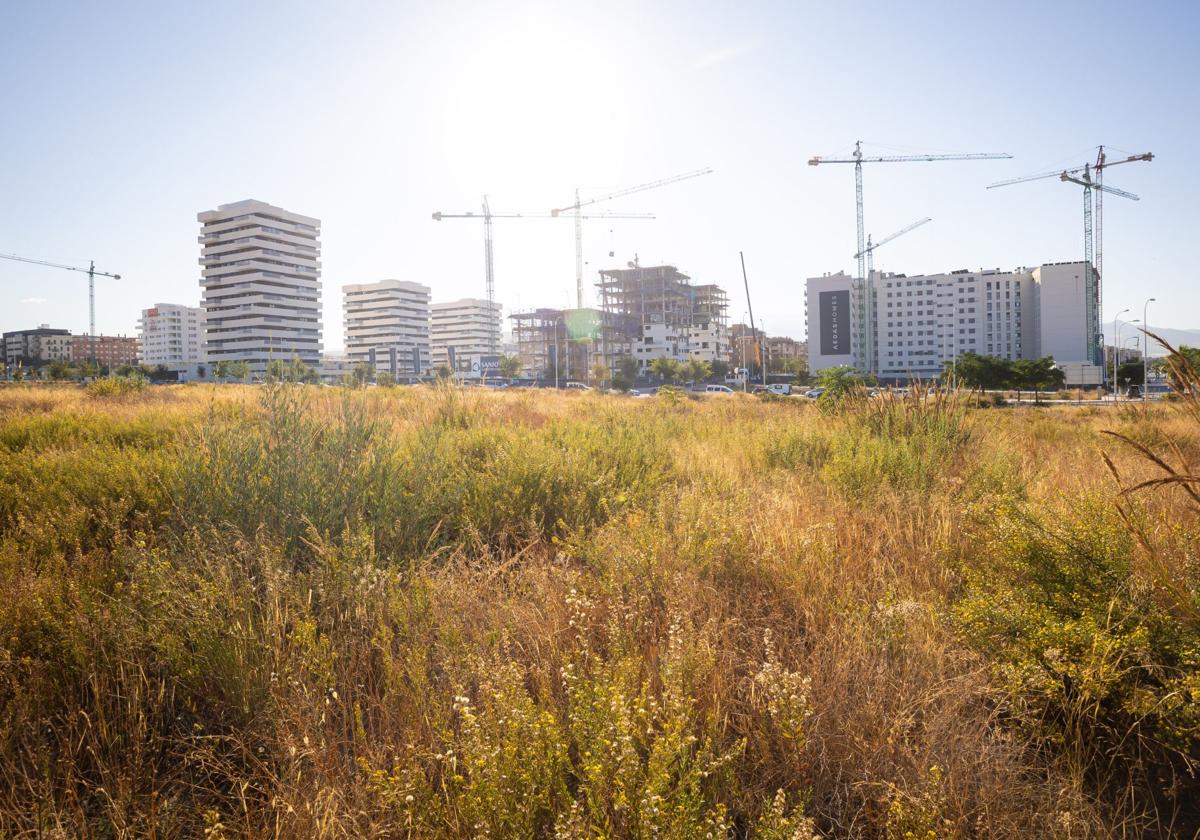 El mercado de la vivienda cerró el año en granada con cifras previas al estallido de la burbuja | ideal