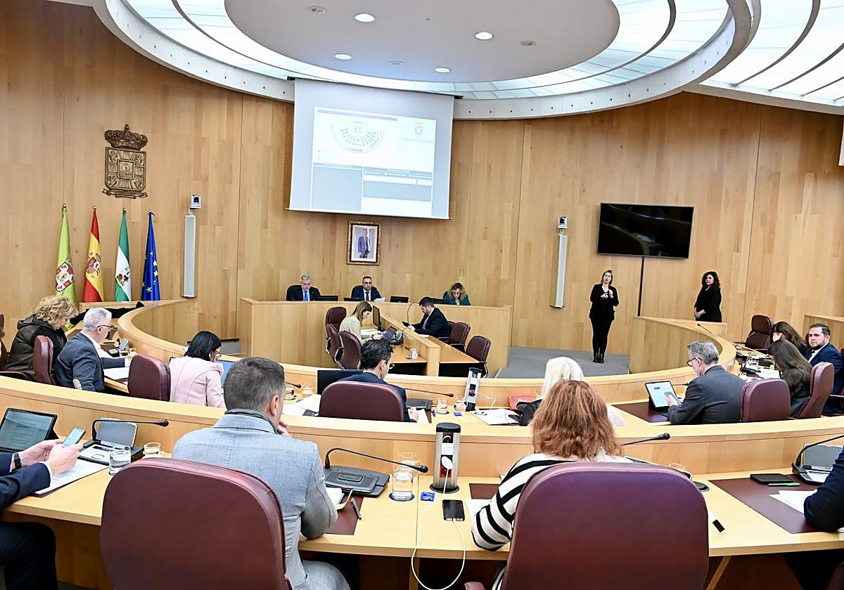 Pleno ordinario del mes de febrero.