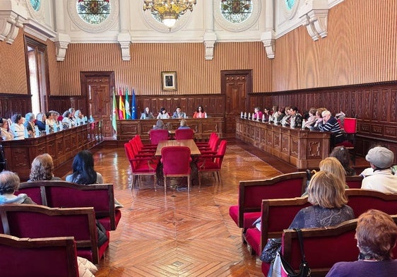Pleno extraordinario del Consejo Igualdad y Participación de las Mujeres.