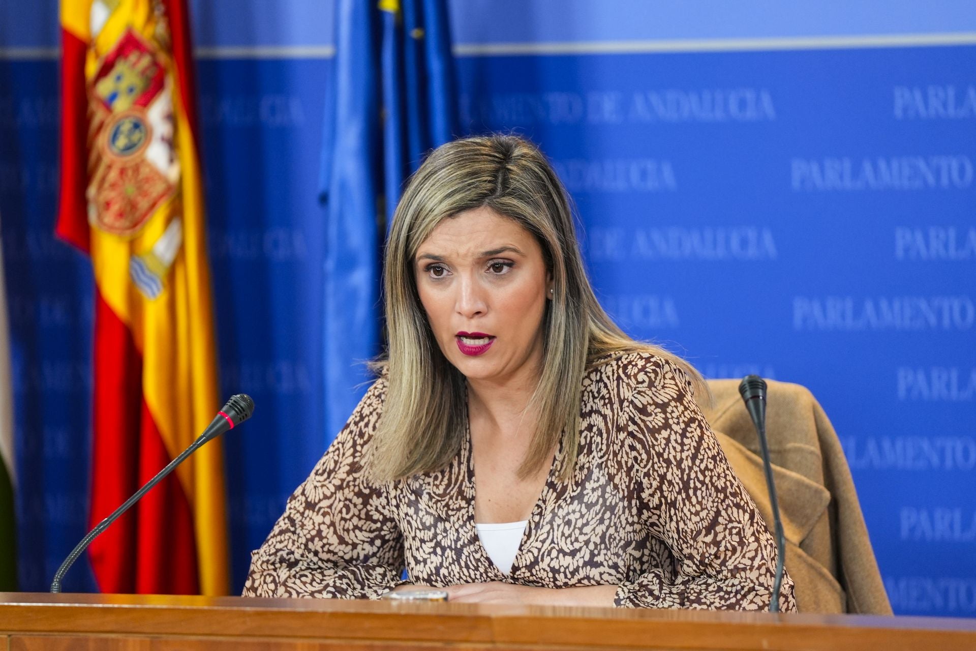 La portavoz del Grupo Parlamentario Socialista, María Márquez.