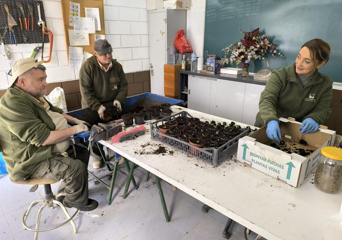 Antonio, Pedro y Dolores trabajan en el vivero del Centro Especial de Empleo 'Jardines y Naturaleza', en la capital