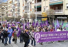La manifestación del 8M en Jaén, en imágenes