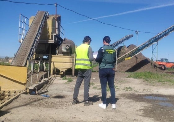 15 investigados en Jaén por robar más de 45 toneladas de aceituna