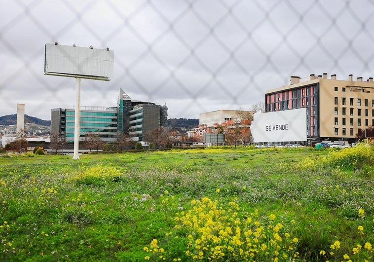 Una empresa granadina proyecta un centro deportivo y una residencia de mayores junto a Forum