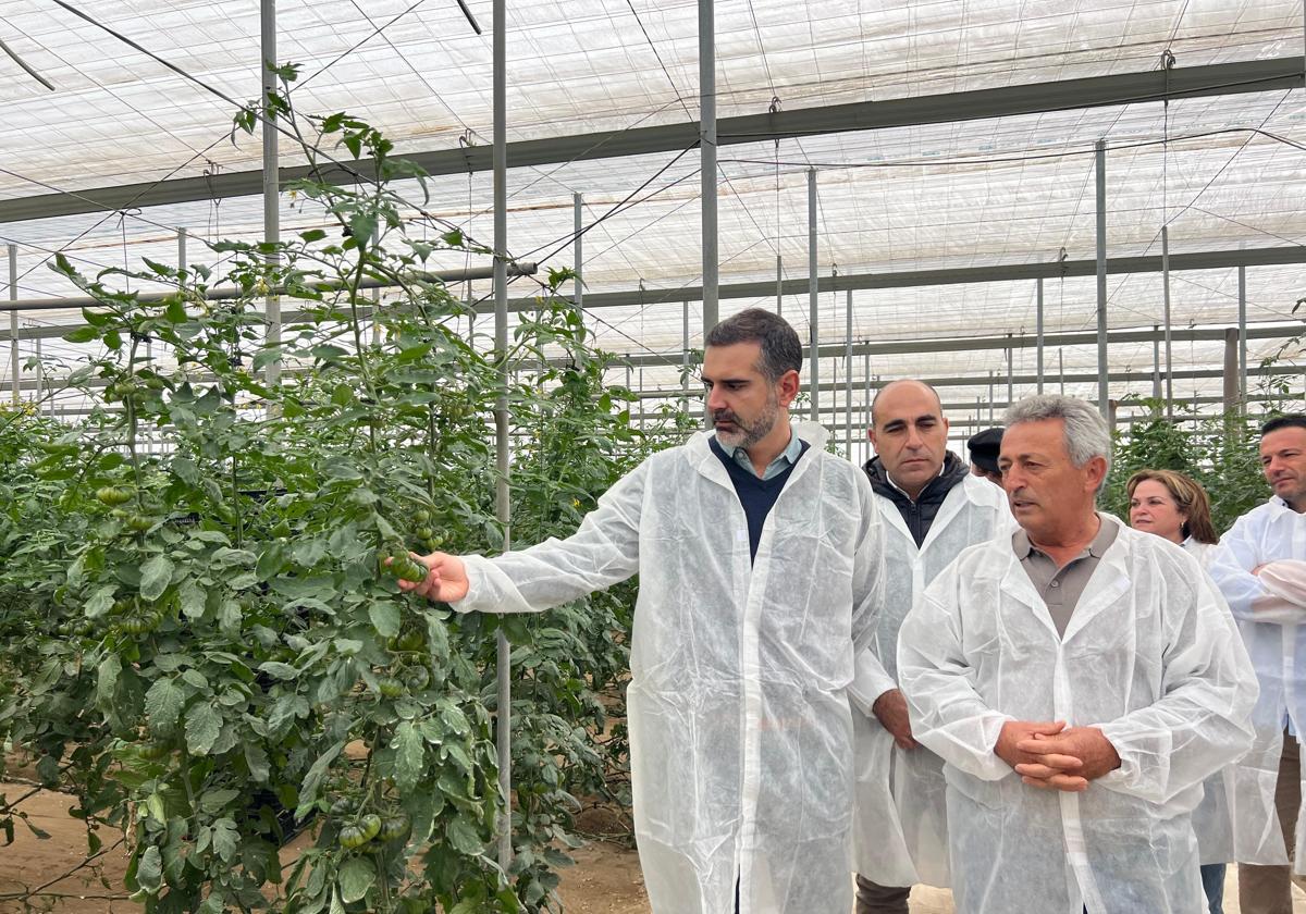 Las exportaciones agroalimentarias baten cifras récord con 15.700 millones de euros en Andalucía
