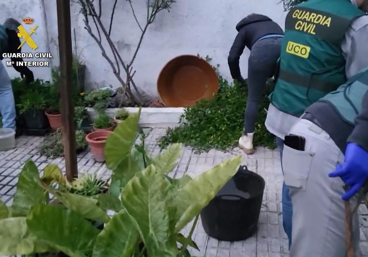 Búsqueda en las propiedades del empresario de Villacarillo.