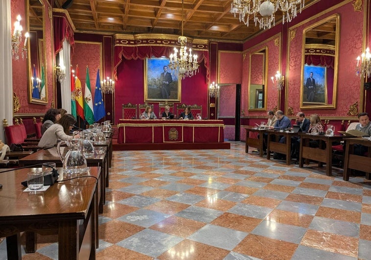 El plan que abre la puerta a la ZBE de Granada sale adelante solo con los votos del PP