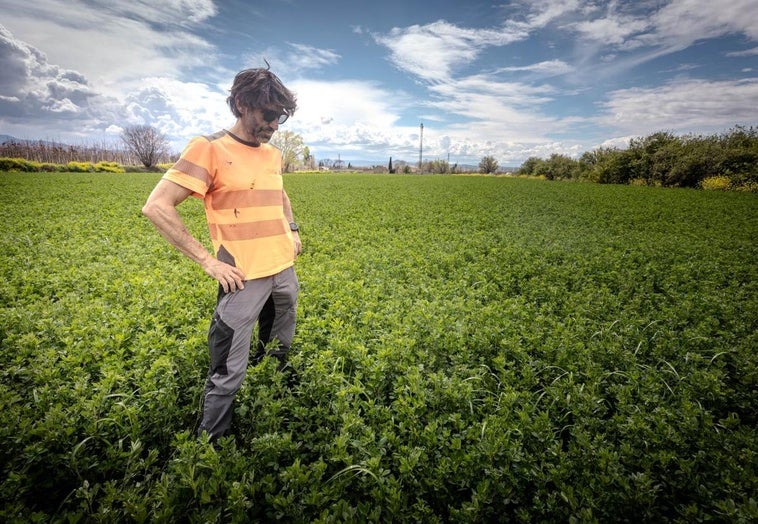 Más de 20.000 agricultores granadinos esperan que las lluvias alivien las restricciones de riego