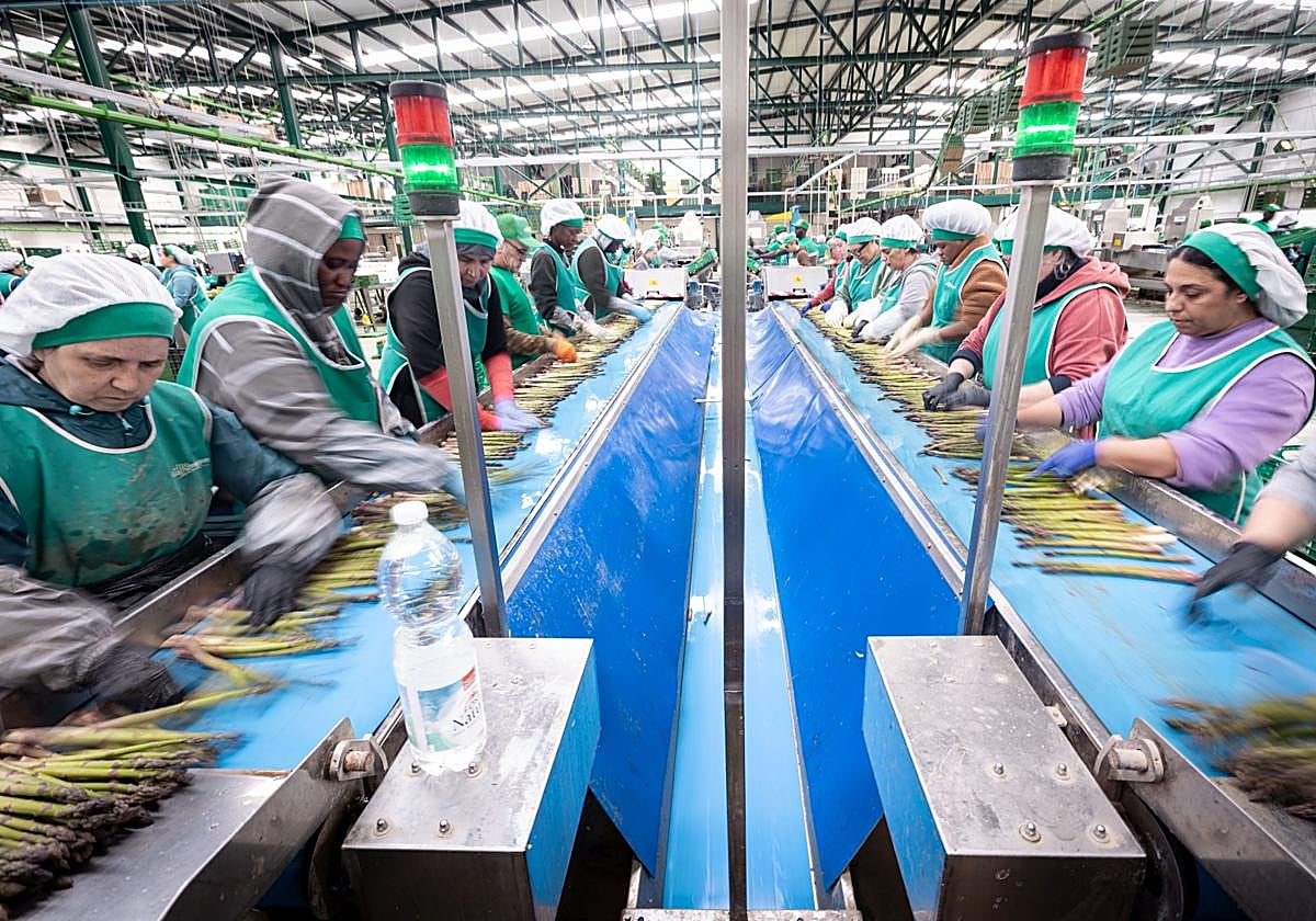Las modernas instalaciones de diez mil metros de Los Gallombares en el inicio de la campaña.
