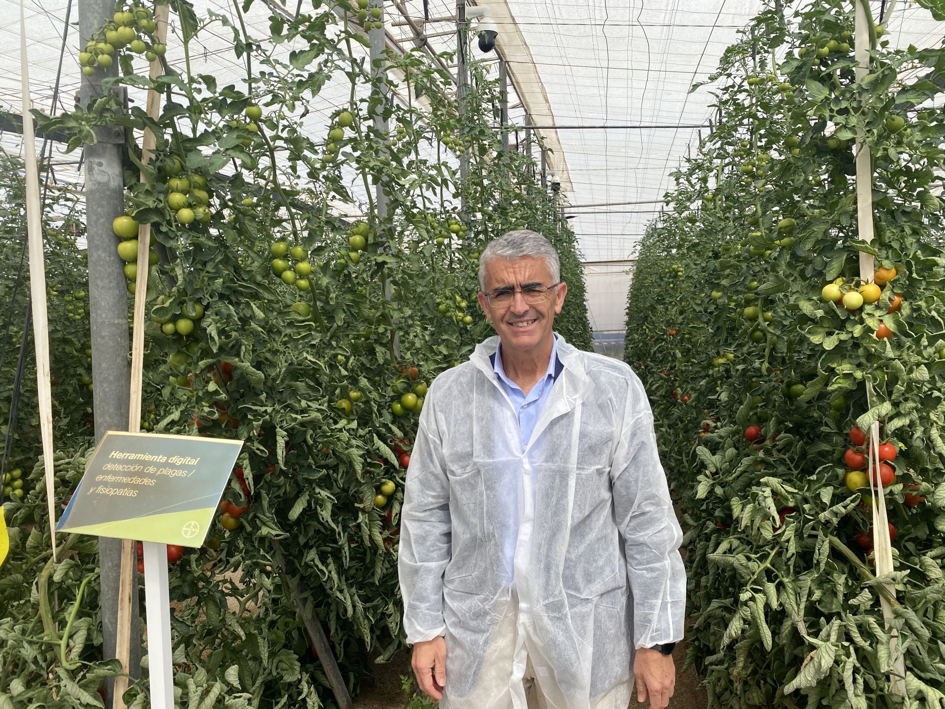Roberto García Torrente, en uno de los invernaderos de la Finca Experimental 'Las Palmerillas'.
