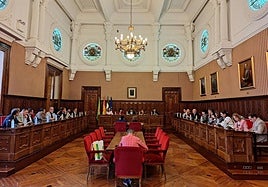 Diputados provinciales en la sesión extraordinaria del pleno.