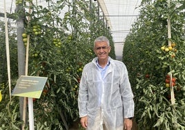 Roberto García Torrente, en uno de los invernaderos de la Finca Experimental 'Las Palmerillas'.