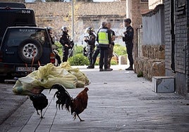 Agentes de la Policía Nacional, en la redada del pasado martes en Granada.