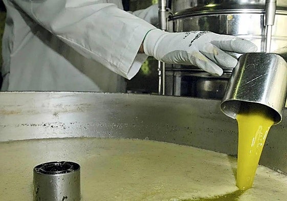 Vendido la mitad del aceite de oliva de la campaña con precios «de ruina»