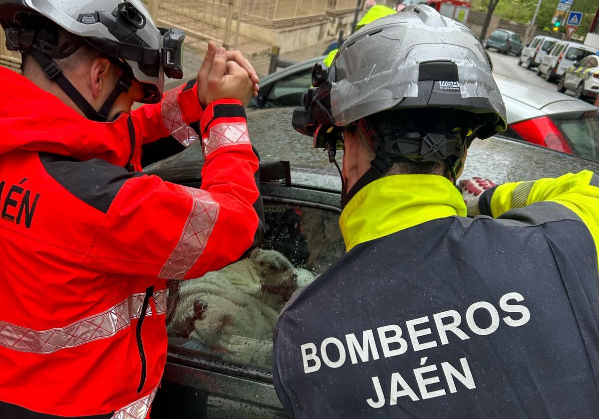 Así fue el rescate de un perro abandonado en un coche más de 24 horas en jaén | ideal