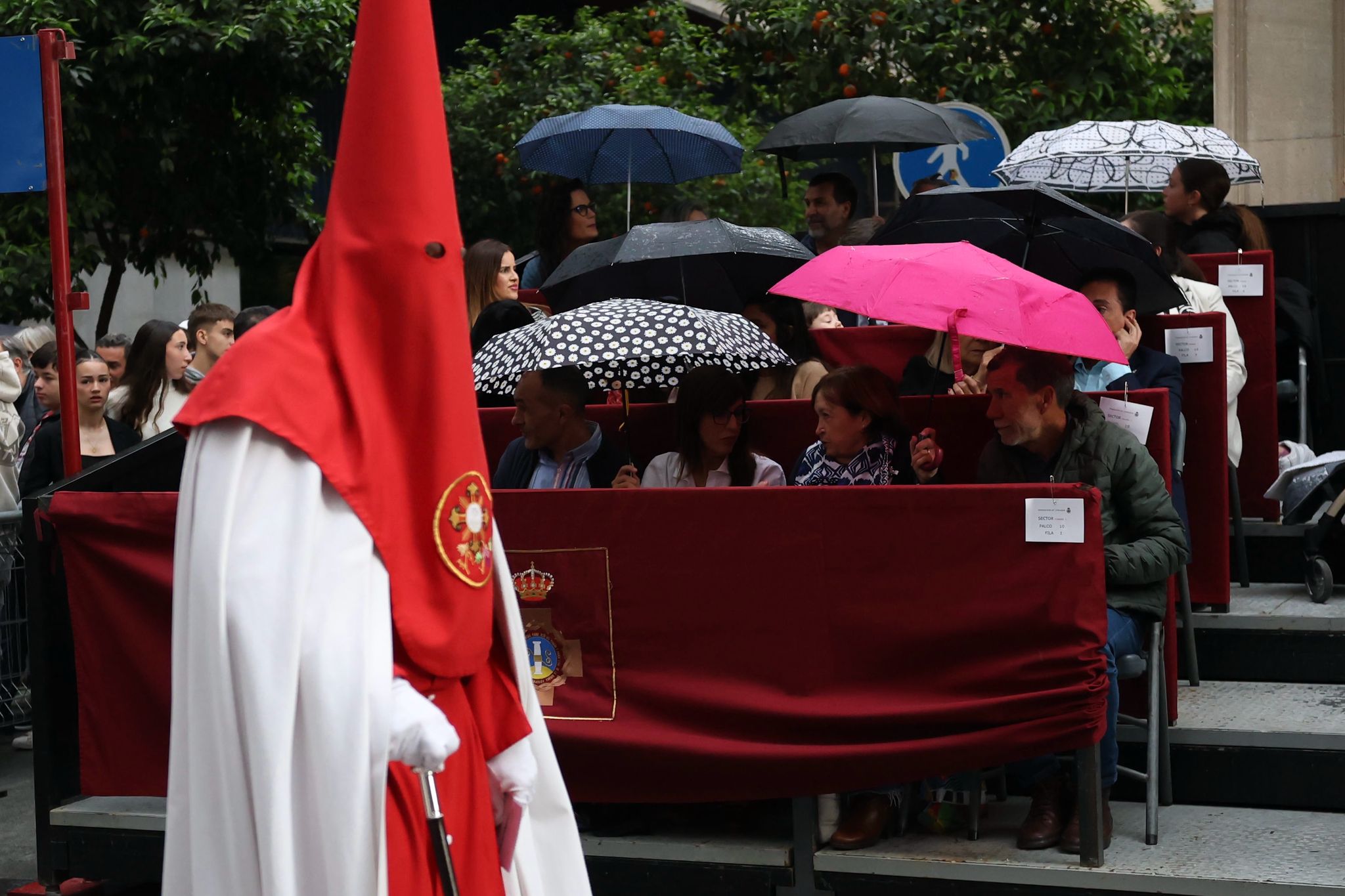 Las imágenes más íntimas del Domingo de Ramos en Granada