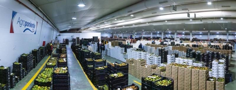 Coexphal crea una nueva sección para dar «voz propia» a las empresas mercantiles | ideal