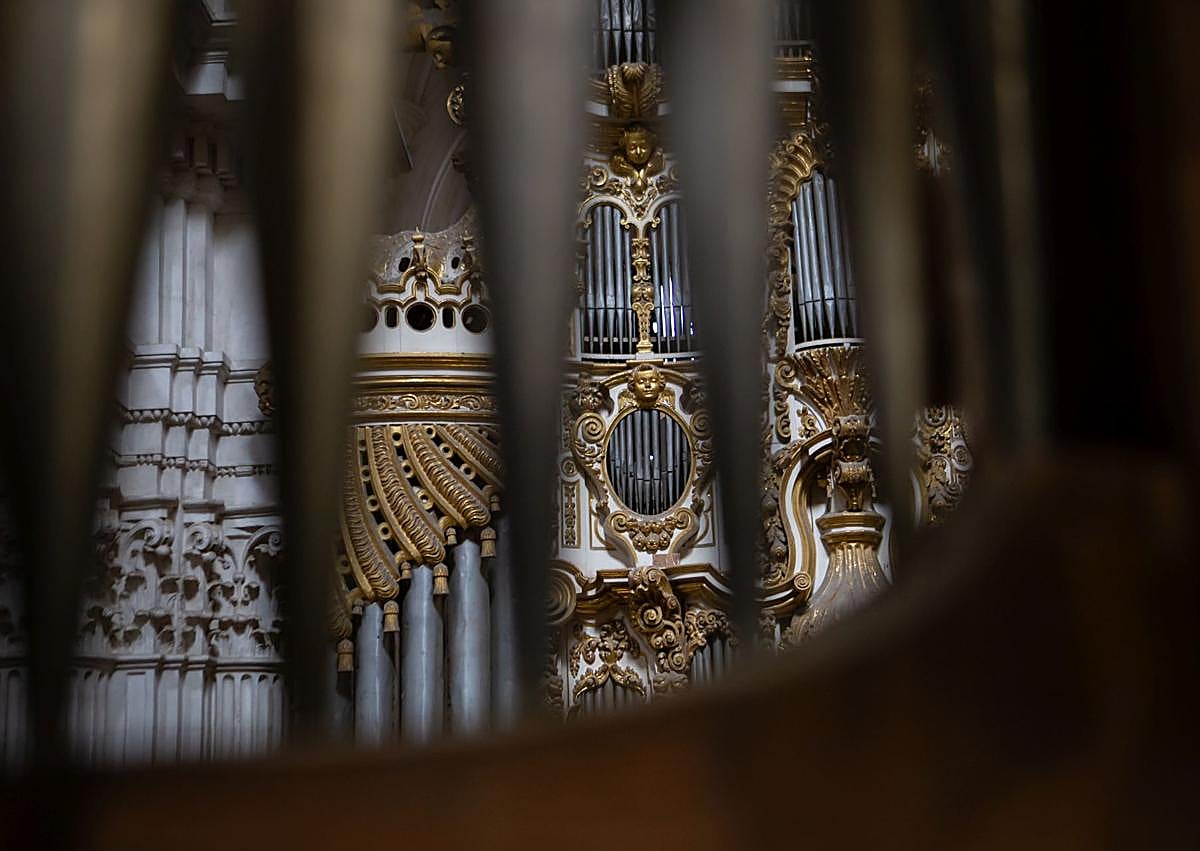 Imagen secundaria 1 - El órgano, por dentro y por fuera. 
