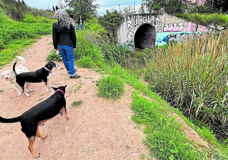 Un río lleno de marihuana, chozas y muebles