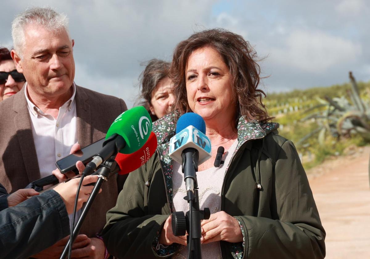 La junta entrega a los municipios andaluces las bases técnicas de sus planes contra el cambio climático | ideal