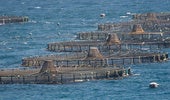 Explotaciones de acuicultura en el litoral andaluz.