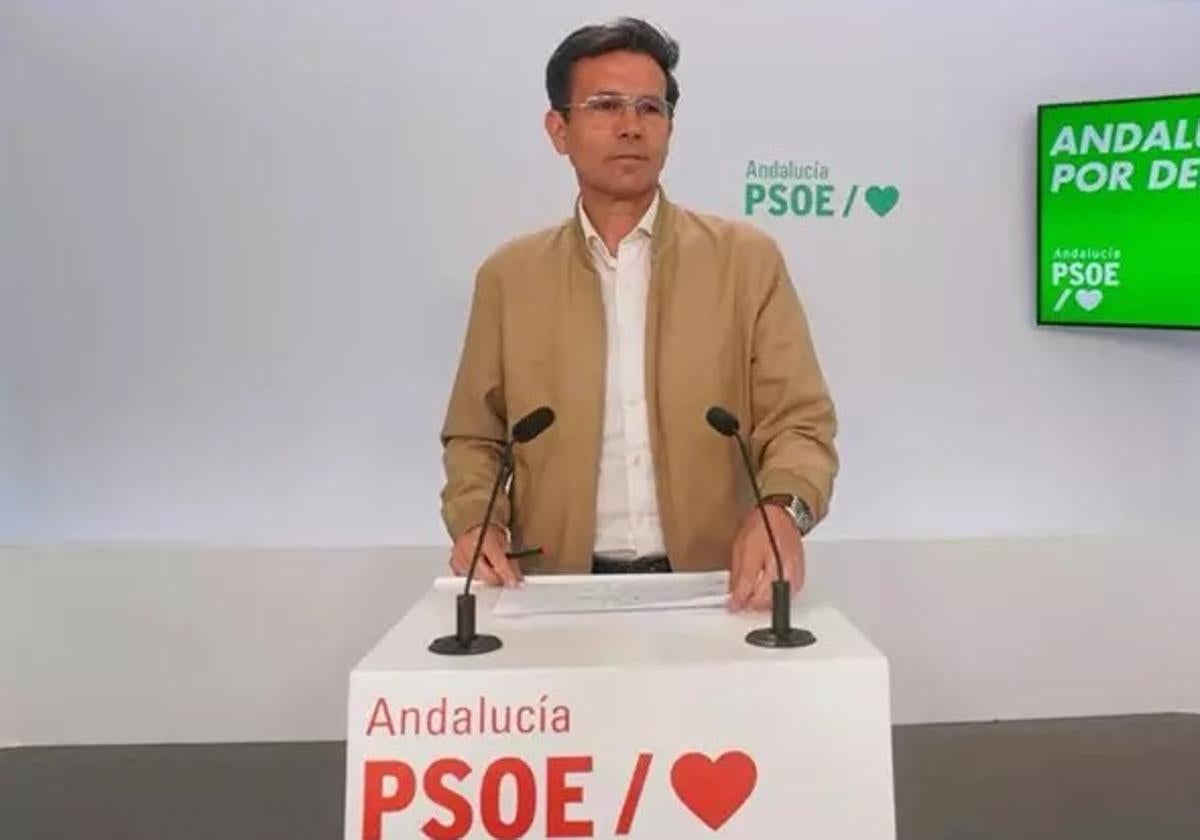 El psoe-a emplaza a la consejera de salud a «pedir disculpas y dimitir» cuando comparezca en el parlamento | ideal