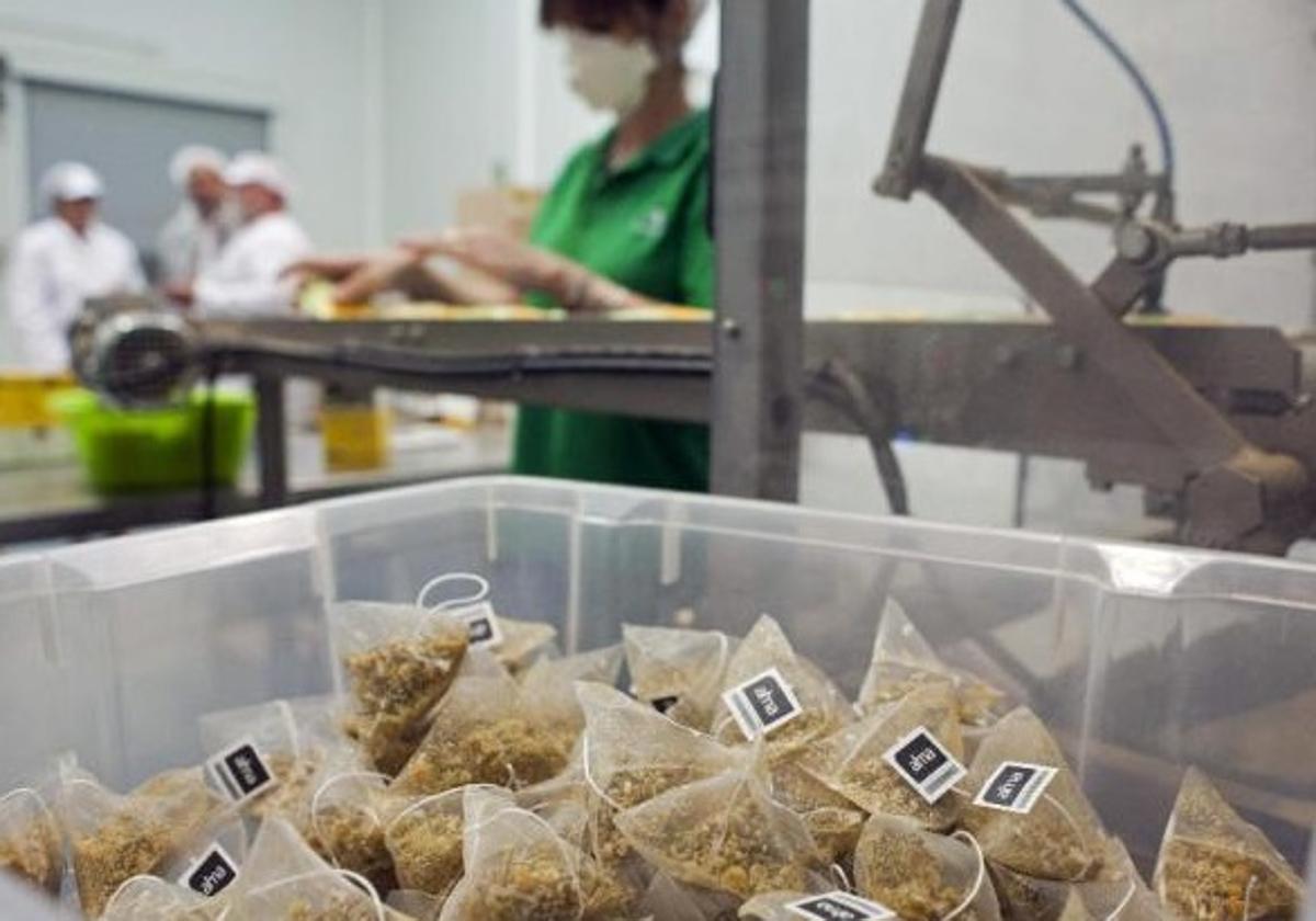 La hierba que usas para cocinar y que ayuda a reducir la barriga | ideal