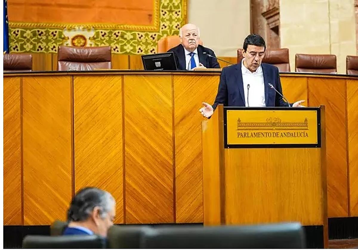 El PSOE-A sitúa a Mario Jiménez de portavoz en comisión de Presidencia ...