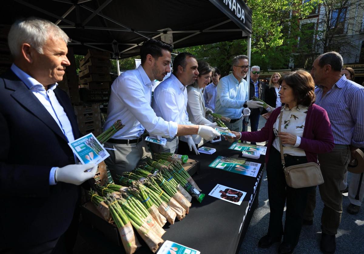 El espárrago verde toma bib rambla | ideal