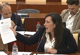 La diputada Rocío Arrabal, este martes en la comisión de control de la RTVA.