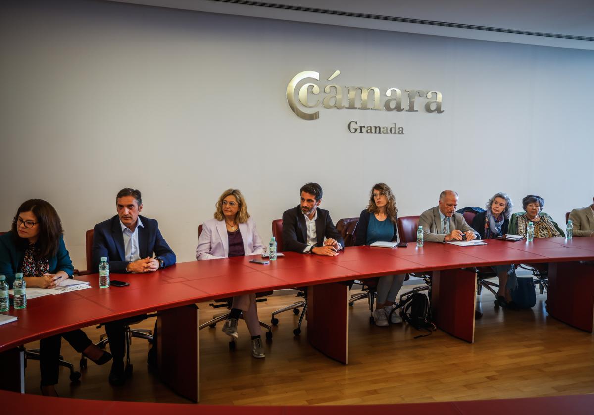 Cámara y cge hacen un llamamiento para paliar los efectos | ideal
