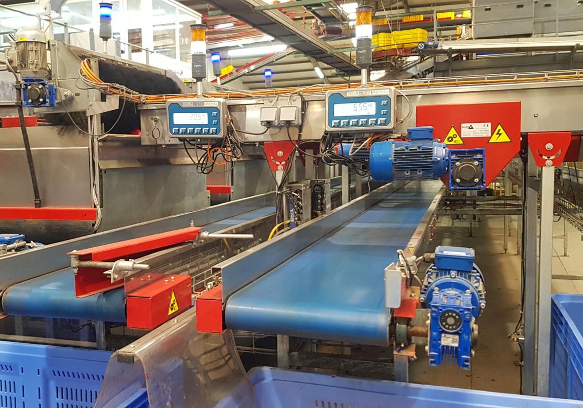 Sobrecoste en el manipulado de almería por el festivo para satisfacer los pedidos atrasados | ideal