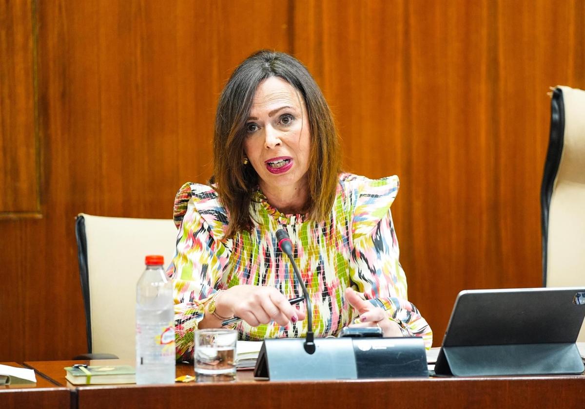 La consejera de Fomento, Rocío Díaz, ayer en su comparecencia en el Parlamento.