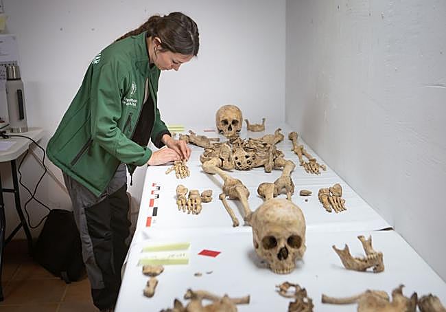 Recomposición de los esqueletos.