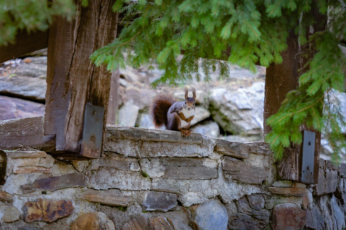 El último día de la temporada en Sierra Nevada, en imágenes