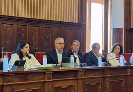 Intervención del portavoz 'popular' en la Diputación, Luis Mariano Camacho.