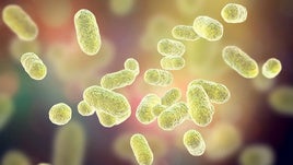 ¿Qué son Campylobacter y E. coli? Las dolorosas bacterias que han intoxicado a 11 médicos de Torrecárdenas