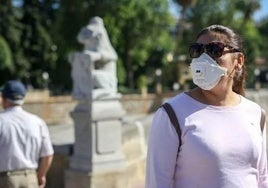 Protección del polen a través de mascarillas.