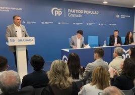 Francis Rodríguez que ha presidido el Comité Ejecutivo Provincial junto al portavoz parlamentario del PP-A Toni Martín.