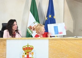 Eloísa Cabrera muestra un gráfico sobre construcción de colegios en el último Pleno.