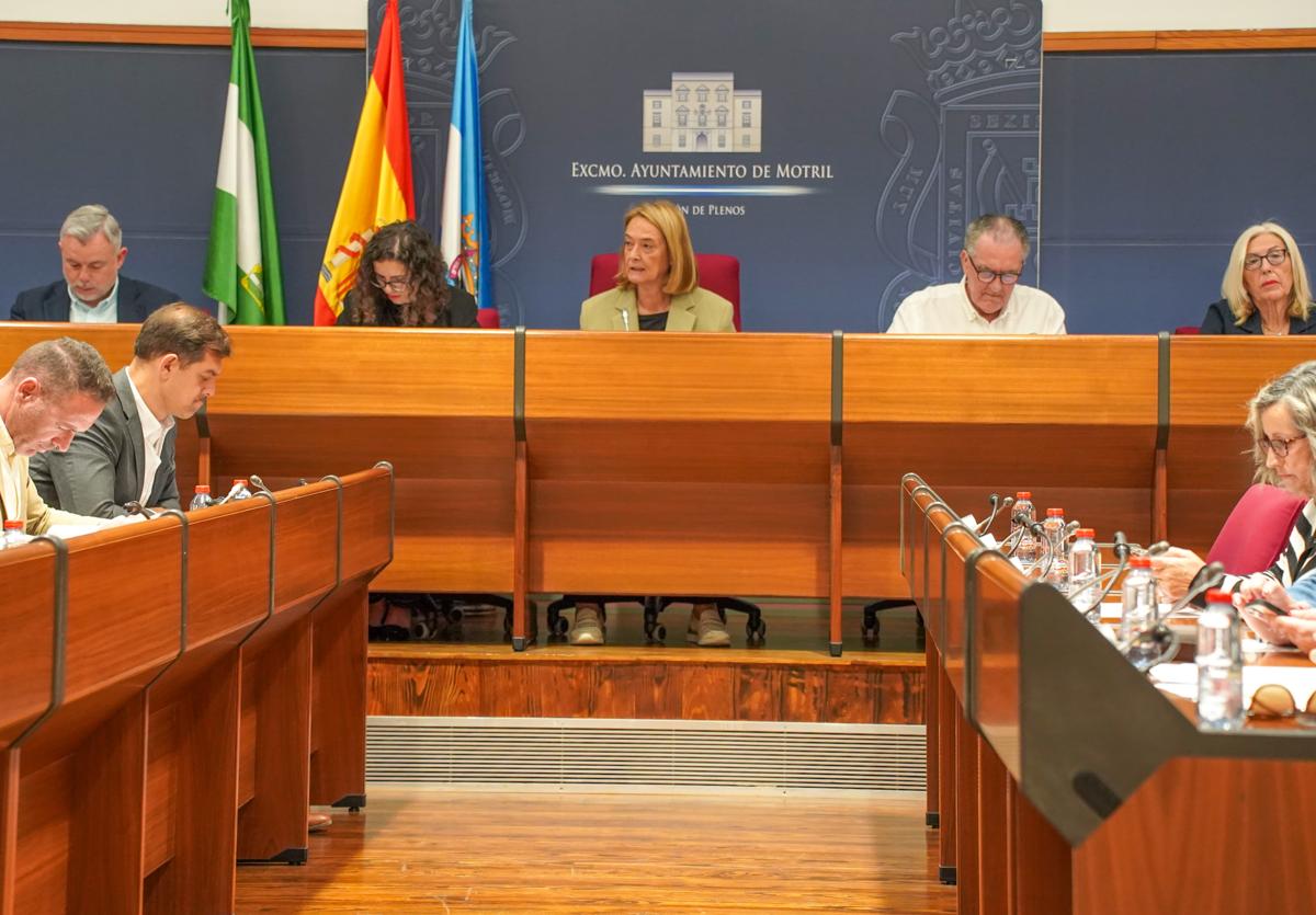 Motril destina casi un millón de euros a mejoras en colegios, protección animal, accesibilidad y servicios públicos | ideal