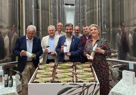 El sector olivarero de Granada busca mejorar la competitividad y sostenibilidad con la I Estrategia del Olivar
