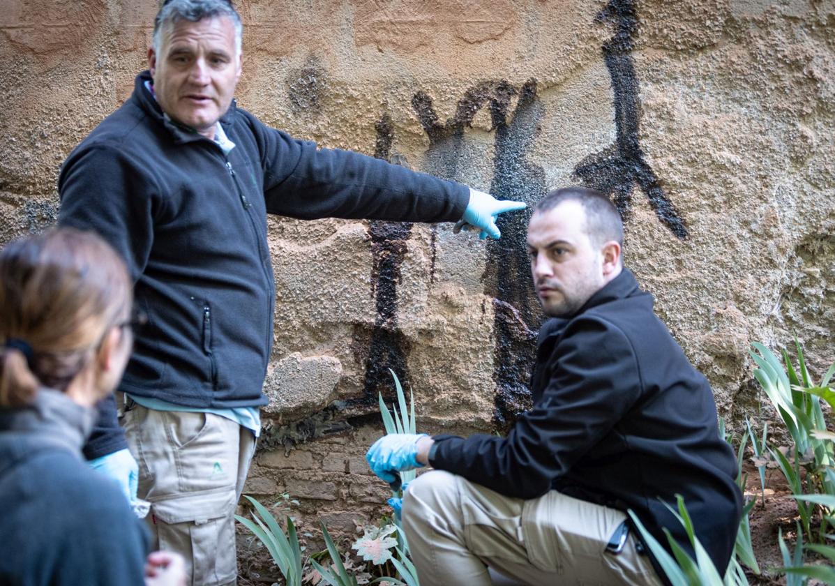 La alhambra acelera la instalación de sesenta cámaras inteligentes tras las últimas pintadas | ideal