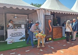 XXII Feria Internacional del Aceite de Oliva e Industrias Afines, Expoliva 2025